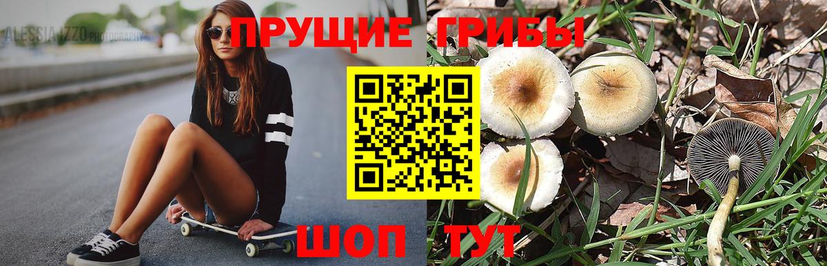 Псилоцибиновые грибы Magic Shrooms  купить  цена  Сальск  Вход с VPN  Псилоцибиновые грибы прущие грибы 