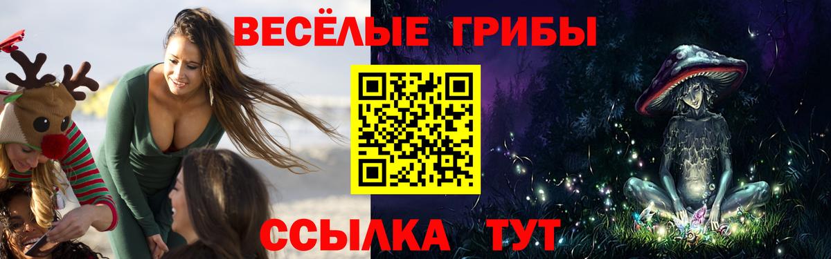 Галлюциногенные грибы MAGIC MUSHROOMS Сальск