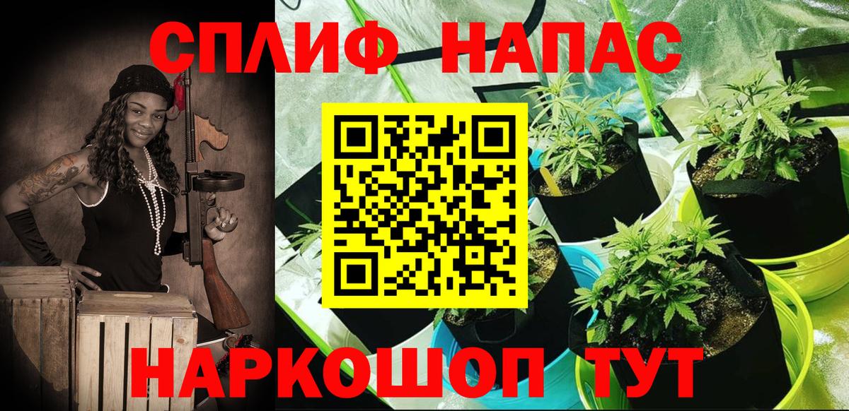 Конопля индика  Конопля гибрид  Марихуана MAZAR  Сальск  Вход с VPN 